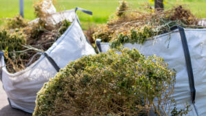 Seasonal Garden Clean ups, North Shore Auckland – Xtra Landscaping