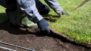 Turf Laying, North Shore Auckland – Xtra Landscaping