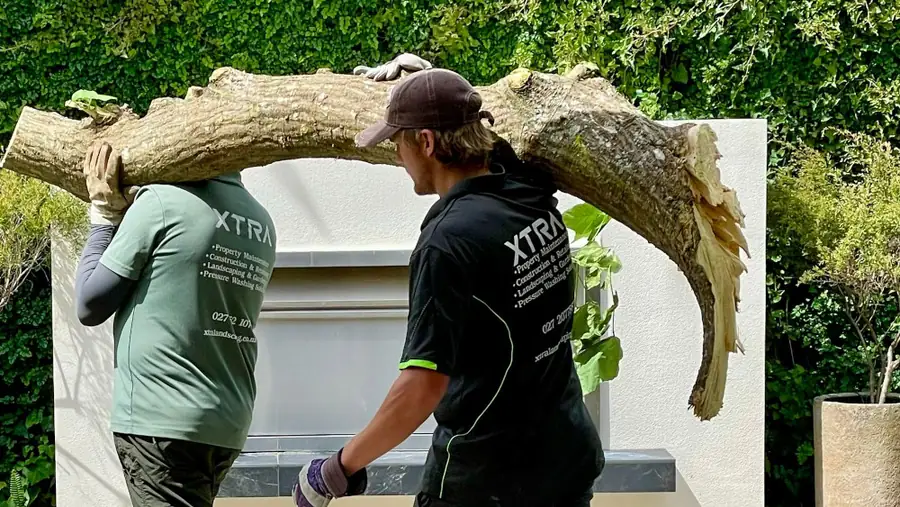 Tree Services, North Shore Auckland – Xtra Landscaping